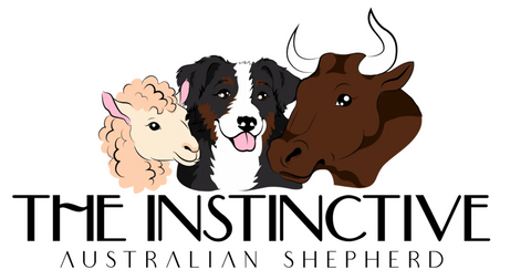 The Instinctive Australian Shepherd Podcast Collection
