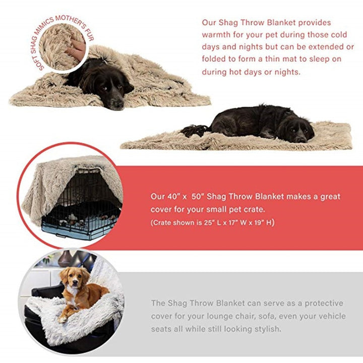 Plush Dog Beds
