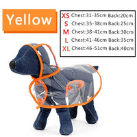 Small Dog Raincoat