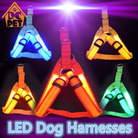 LED Safety Dog Harness