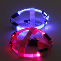 LED Safety Dog Harness