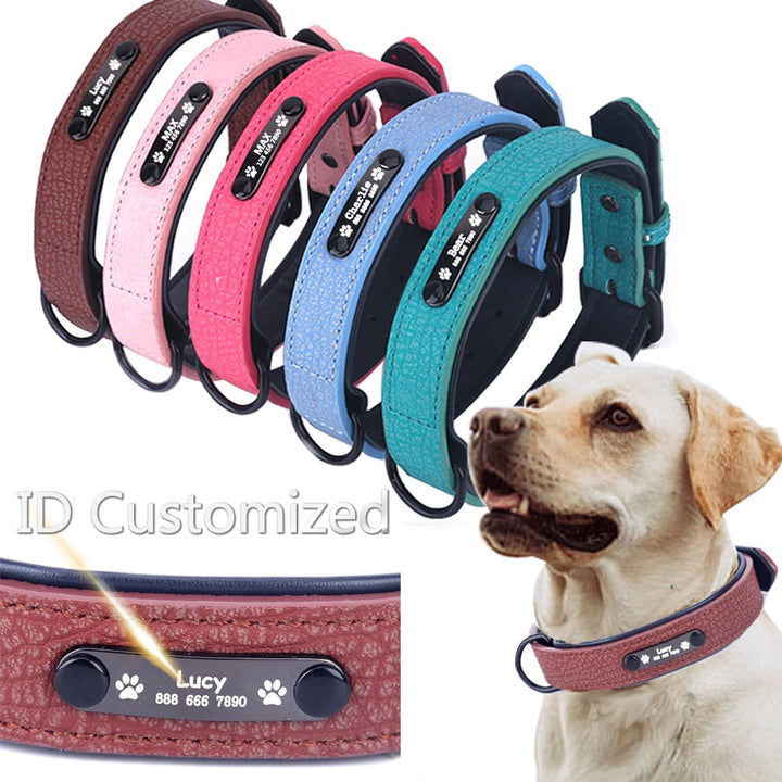 Personalized Adjustable Dog Collars