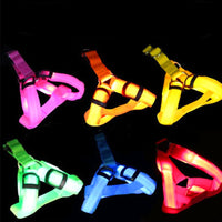 LED Safety Dog Harness