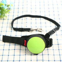 Hands Free Dog Leash