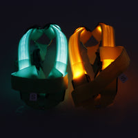 LED Safety Dog Harness