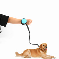 Hands Free Dog Leash